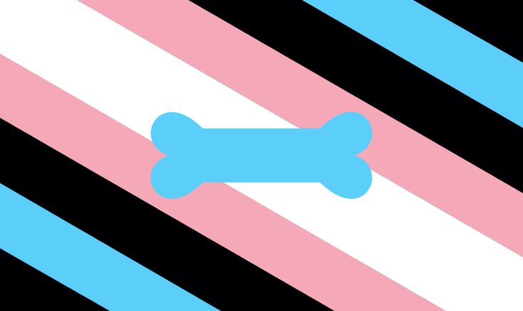 MothPup__Rosie's banner